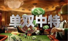 中国的对外商业依存度V